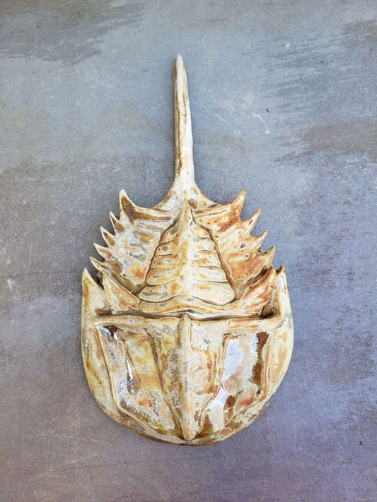 Horseshoe Crab